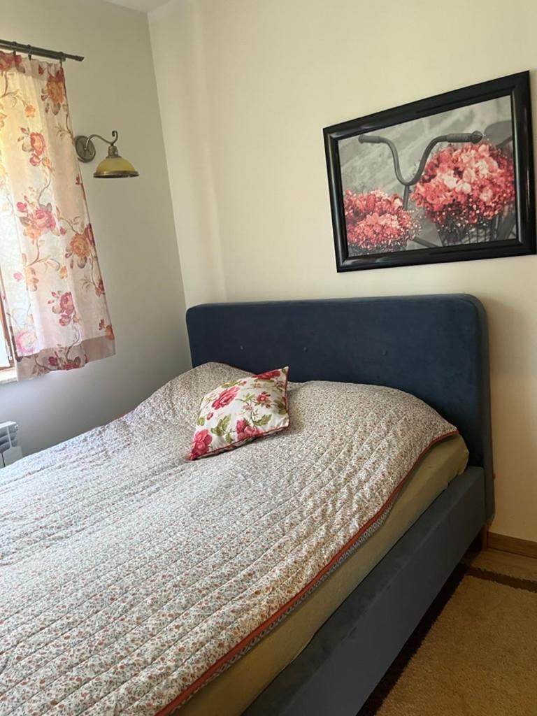 Siedlisko Kepina Zdroj Apartment Ostrow  Екстериор снимка