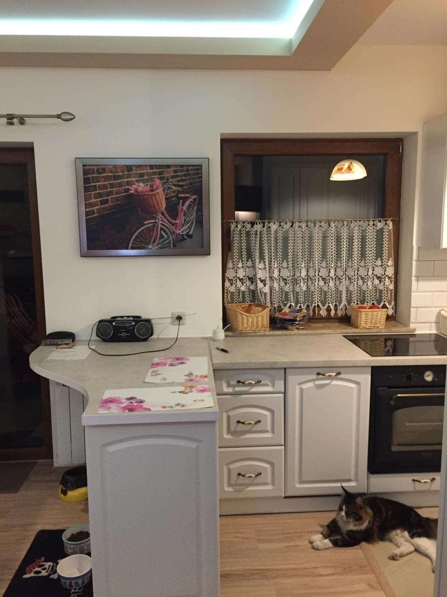 Siedlisko Kepina Zdroj Apartment Ostrow  Екстериор снимка